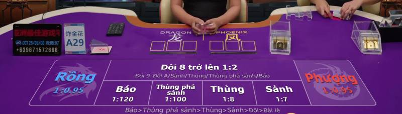 Các cửa cược trong Trác Kim Hoa phổ biến