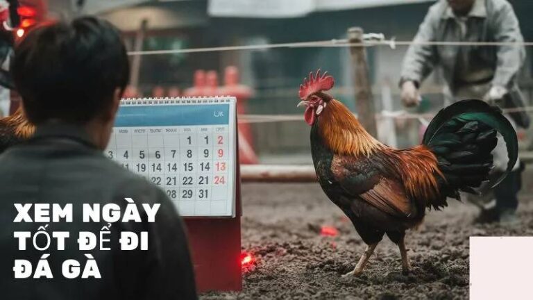 Xem Ngay Da Ga – Bi Quyet Chon Ngay Dep Cho Chien Ke