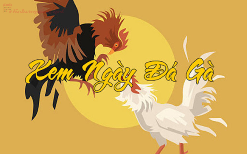 Xem ngày đá gà là gì?